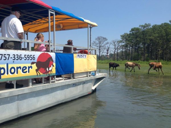 MD_Assateague-ExplorerBoat_CreditAssateagueExplorer--